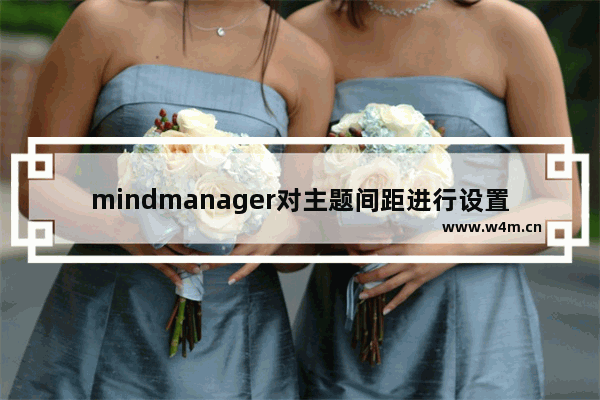 mindmanager对主题间距进行设置的具体步骤