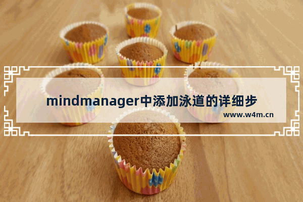 mindmanager中添加泳道的详细步骤