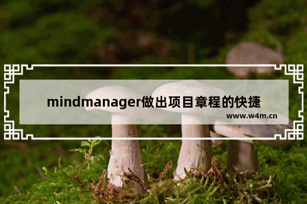 mindmanager做出项目章程的快捷方法介绍