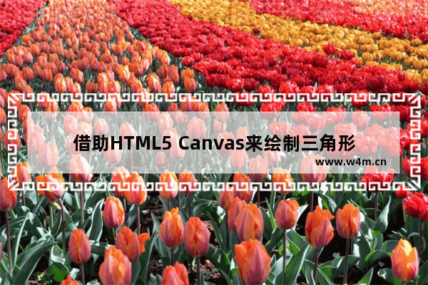 借助HTML5 Canvas来绘制三角形和矩形等多边形的方法