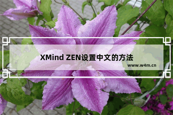 XMind ZEN设置中文的方法