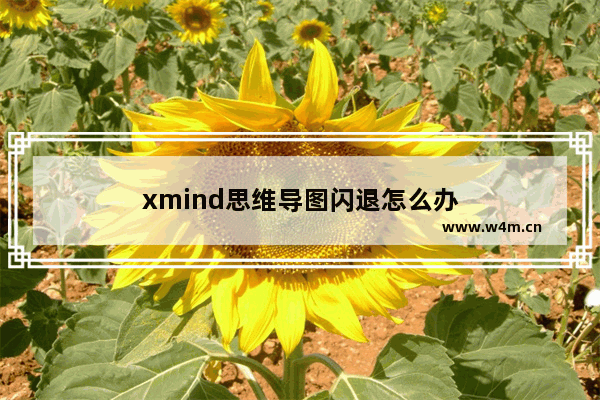 xmind思维导图闪退怎么办