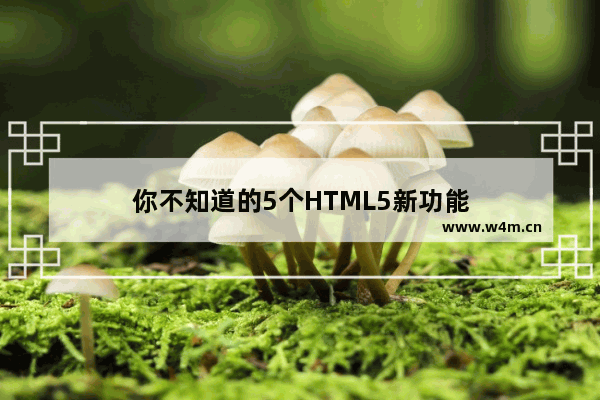 你不知道的5个HTML5新功能