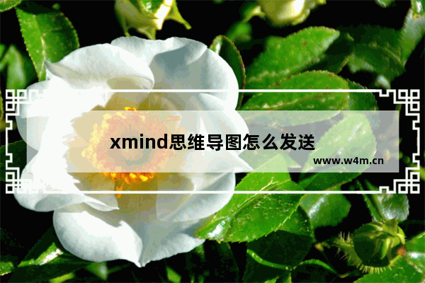 xmind思维导图怎么发送