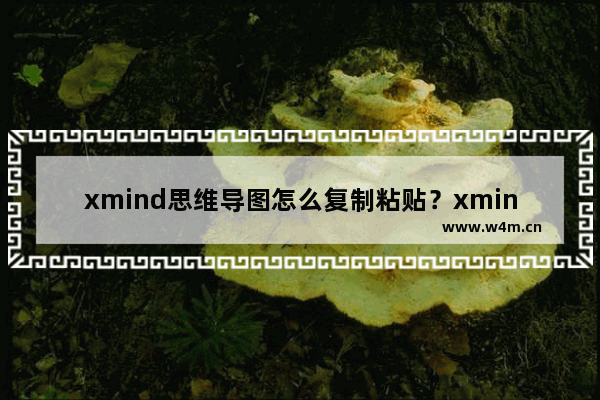 xmind思维导图怎么复制粘贴？xmind思维导图复制粘贴的操作流程介绍