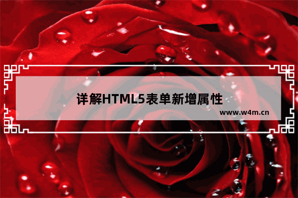 详解HTML5表单新增属性