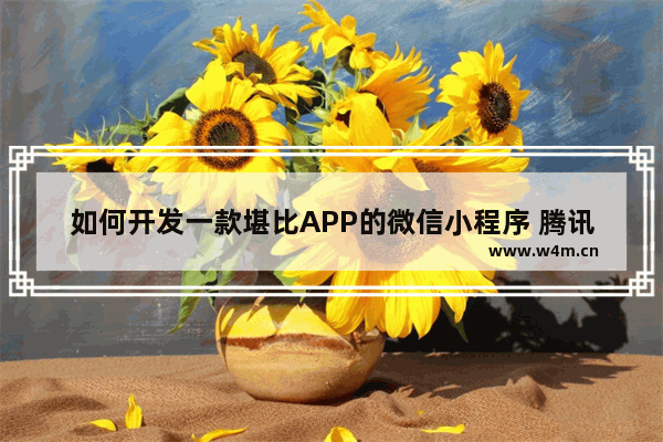 如何开发一款堪比APP的微信小程序 腾讯内部团队分享