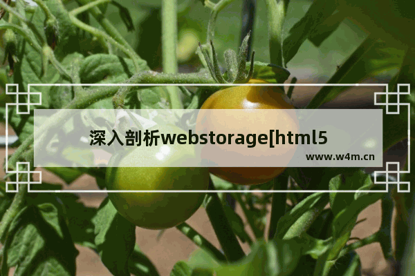 深入剖析webstorage[html5的本地数据处理]