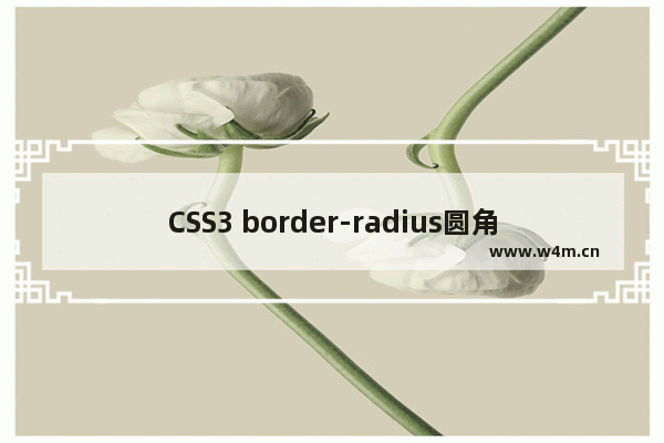 CSS3 border-radius圆角的实现方法及用法详解