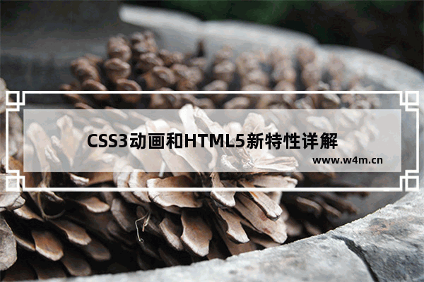 CSS3动画和HTML5新特性详解