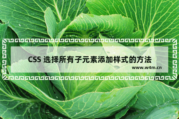 CSS 选择所有子元素添加样式的方法