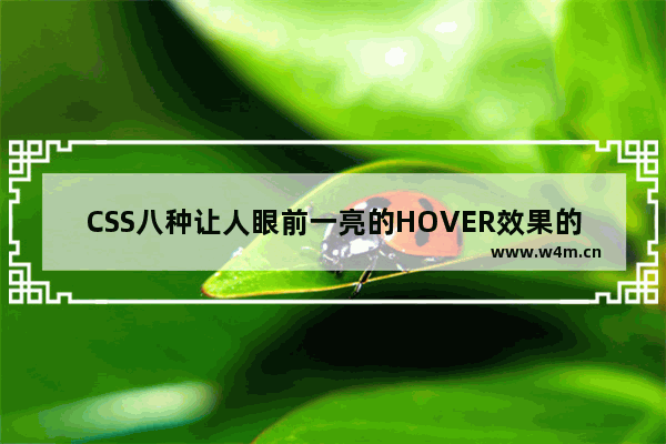 CSS八种让人眼前一亮的HOVER效果的示例代码