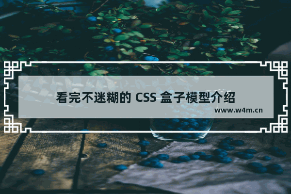 看完不迷糊的 CSS 盒子模型介绍