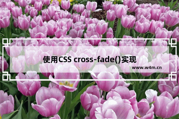 使用CSS cross-fade()实现背景图像半透明效果的示例代码