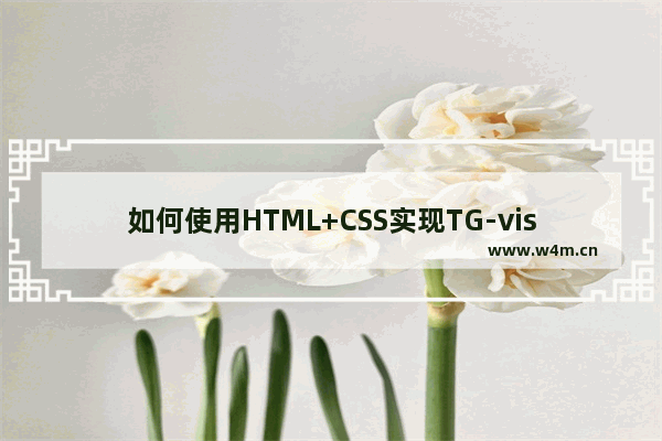 如何使用HTML+CSS实现TG-vision 主页制作