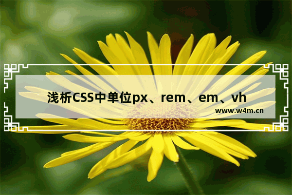 浅析CSS中单位px、rem、em、vh、vw之间的区别