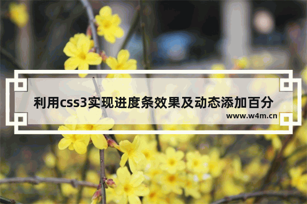 利用css3实现进度条效果及动态添加百分比