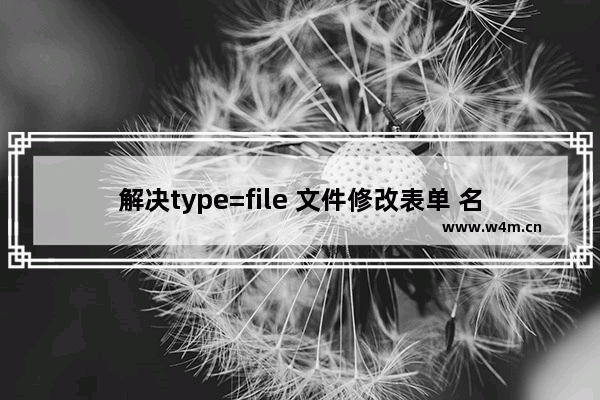 解决type=file 文件修改表单 名称不能正常回显的问题