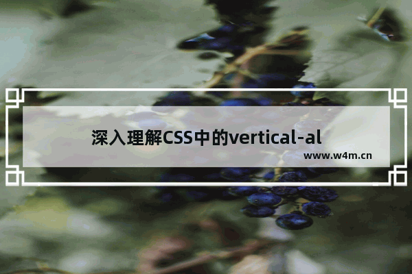 深入理解CSS中的vertical-align属性和基线问题