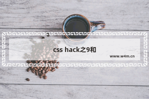 css hack之9和�就可能对hack IE11IE9IE8无效