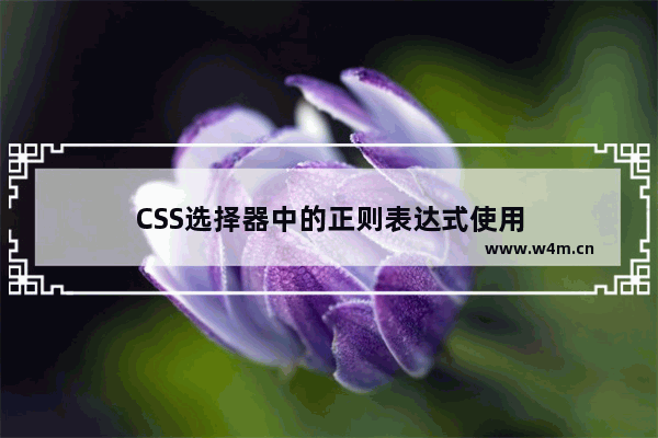 CSS选择器中的正则表达式使用