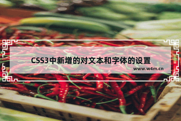 CSS3中新增的对文本和字体的设置