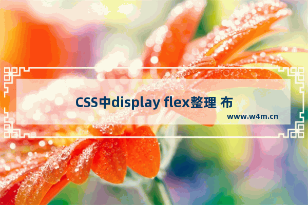 CSS中display flex整理 布局利器