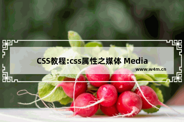 CSS教程:css属性之媒体 Media类型