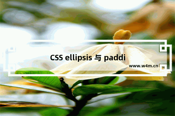 CSS ellipsis 与 padding 结合时的问题详解