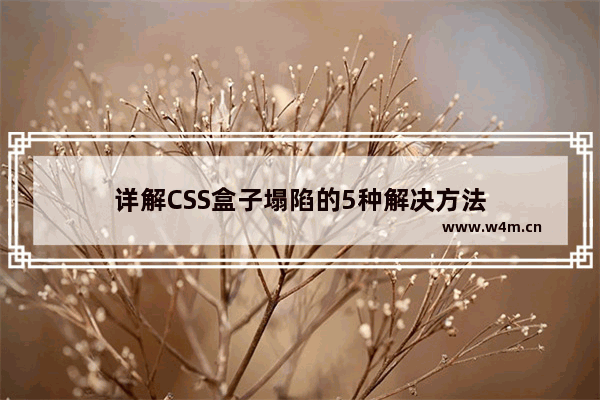 详解CSS盒子塌陷的5种解决方法