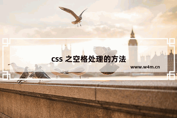 css 之空格处理的方法