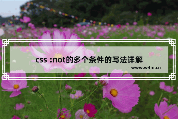 css :not的多个条件的写法详解