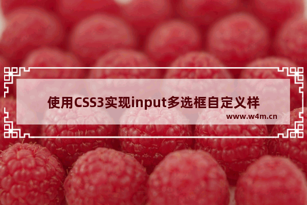 使用CSS3实现input多选框自定义样式的方法示例