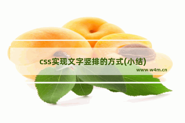 css实现文字竖排的方式(小结)