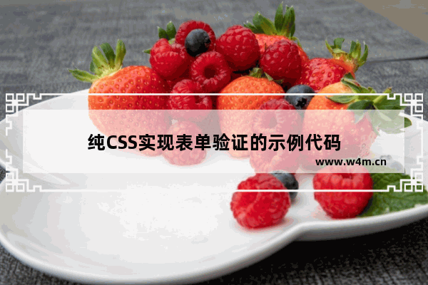 纯CSS实现表单验证的示例代码