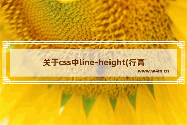 关于css中line-height(行高)设置无效的问题的解决方法