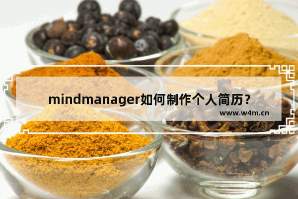 mindmanager如何制作个人简历？mindmanager制作个人简历的方法步骤