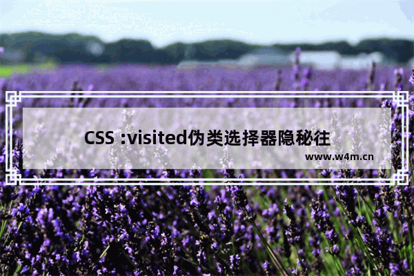 CSS :visited伪类选择器隐秘往事回忆录