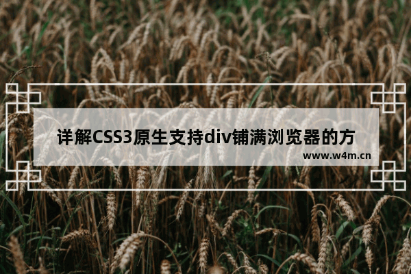 详解CSS3原生支持div铺满浏览器的方法