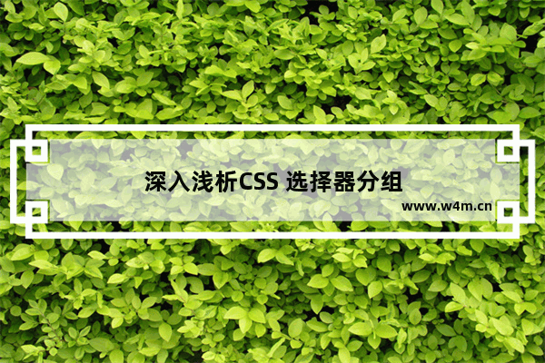 深入浅析CSS 选择器分组