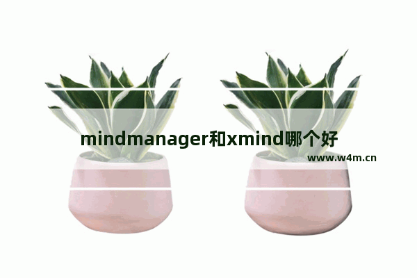 mindmanager和xmind哪个好