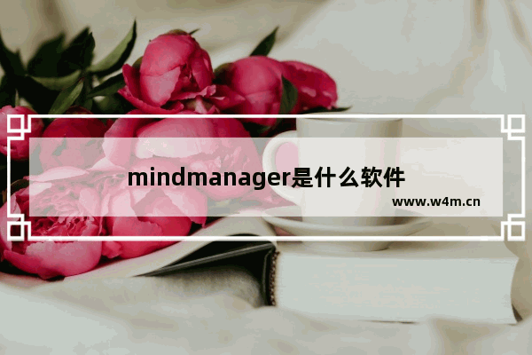 mindmanager是什么软件