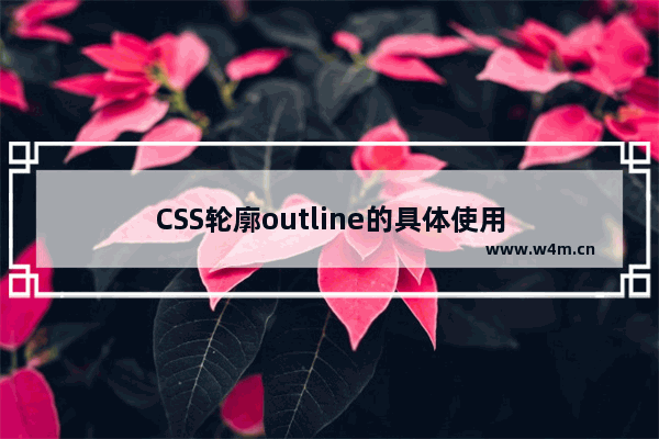 CSS轮廓outline的具体使用