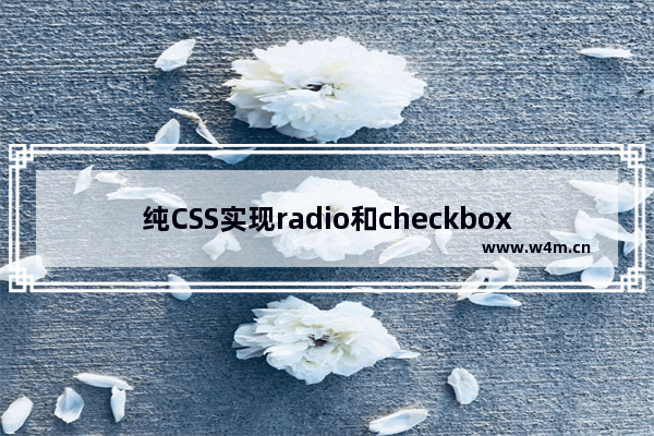 纯CSS实现radio和checkbox实现效果示例