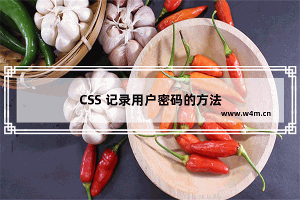 CSS 记录用户密码的方法