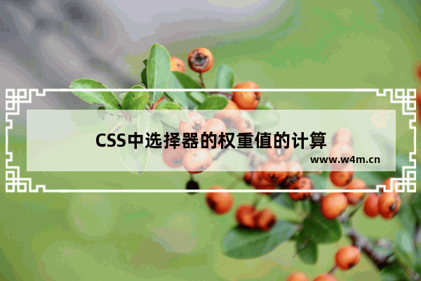 CSS中选择器的权重值的计算