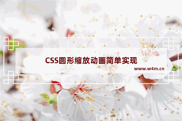 CSS圆形缩放动画简单实现