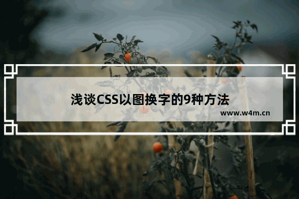 浅谈CSS以图换字的9种方法