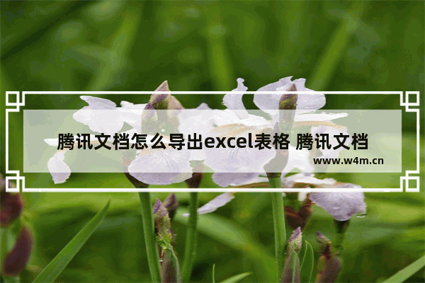 腾讯文档怎么导出excel表格 腾讯文档如何导出excel表格