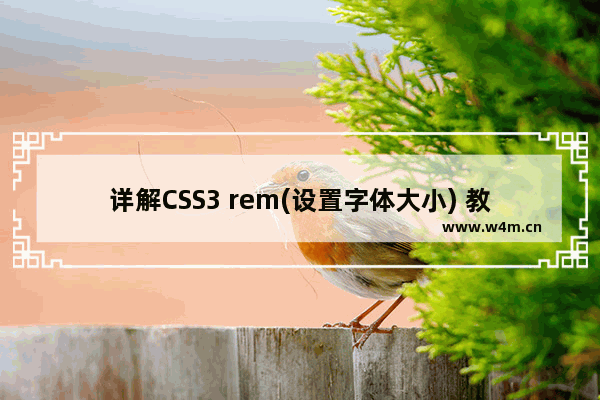 详解CSS3 rem(设置字体大小) 教程